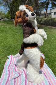 Doggy