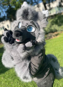Doggy!!